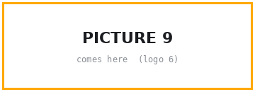 Picture 9 comes here
